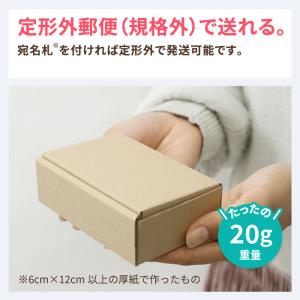 ダンボール 段ボール箱 定形外郵便 規格外 小...の詳細画像2