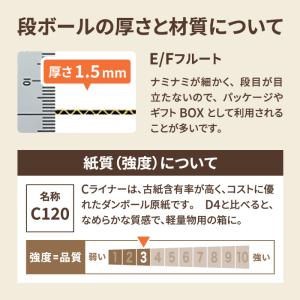 ダンボール 段ボール箱 定形外郵便 規格外 小...の詳細画像5
