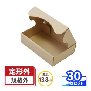 アースダンボール 定形外郵便 箱 ダンボール ダンボール箱 小型 規格内