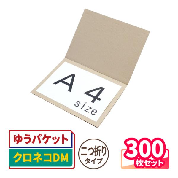 定形外郵便 ダンボール 段ボール板 A4 300枚 (0186)