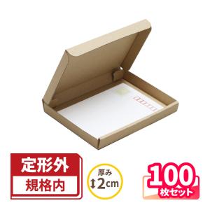 アースダンボール 定形外郵便 ダンボール 段ボール箱 A6 500枚 (0188