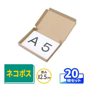 アースダンボール ネコポス ダンボール 段ボール箱 2.5センチ A5 定形