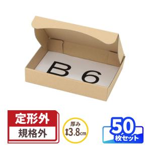 定形外郵便 箱 ダンボール ダンボール箱 小型 B6 発送  50枚 規格外サイズ ｜187×133×35mm（0282）