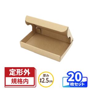 アースダンボール 定形外郵便 箱 ダンボール ダンボール箱 小型 定形