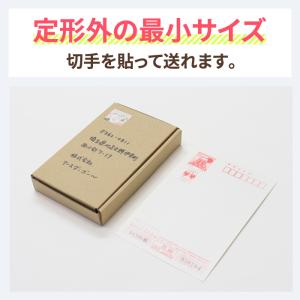 定形外郵便 箱 ダンボール ダンボール箱 小型...の詳細画像2
