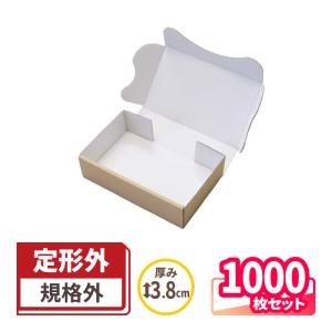 アースダンボール 定形外郵便 箱 ダンボール ダンボール箱 小型 発送