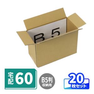 桐パック 段ボール ダンボール箱 60サイズ B5 国産 50枚セット 小型