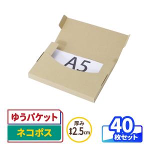 アースダンボール ネコポス ダンボール 段ボール箱 2.5cm A5 定形外