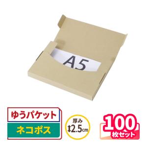 アースダンボール ネコポス ダンボール 段ボール箱 2.5cm A5 定形外