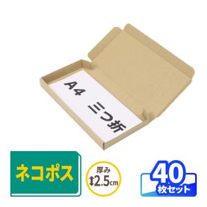 ネコポス ダンボール 段ボール箱 2.5センチ 最小 定形外 発送  40枚 ｜223×106×22mm（0432）｜bestcarton-shop