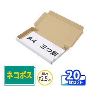 アースダンボール ネコポス ダンボール 段ボール箱 2.5cm 最小 定形外