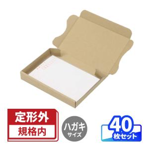 アースダンボール ダンボール 段ボール箱 小型 ハガキ 定形外郵便 規格