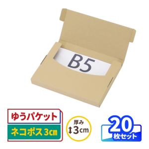 アースダンボール ネコポス ダンボール 段ボール箱 3cm B5 発送 50枚