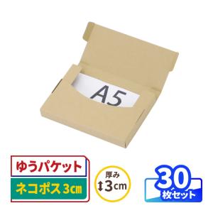 レディースシェーバーセット　各替刃2個付き　箱無し　ゆうパケットダンボール発送 ゆうパケットプラス専用ダンボール箱 外寸法：縦24cm×横17cm×厚さ7cm 1