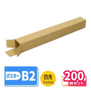 標本箱A2サイズ2セット アースダンボール ダンボール 段ボール箱 A2 ポスターケース 60サイズ