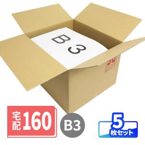 アースダンボール ダンボール 段ボール箱 B3 160サイズ 引越 EMS 宅配