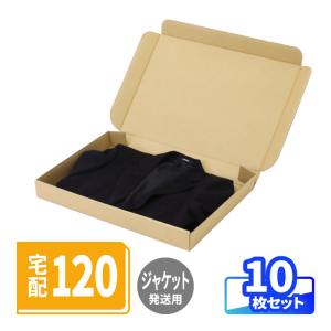 アースダンボール ダンボール 段ボール箱 宅配 120 サイズ 浅型 背広用
