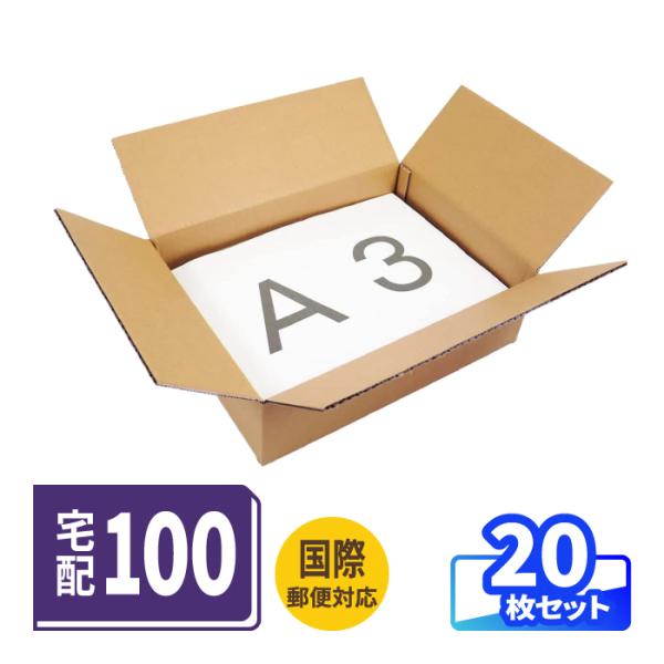ダンボール 段ボール箱 100サイズ A3 薄型 EMS 宅配 発送  20枚 ｜430×307×1...