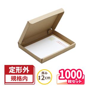 定形外郵便 ダンボール 段ボール箱 2センチ A6 1000枚 (0188)｜bestcarton-shop