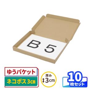 ネコポス ダンボール 段ボール箱 3センチ B5 発送  10枚 ｜267×192×26mm（0672）｜bestcarton-shop