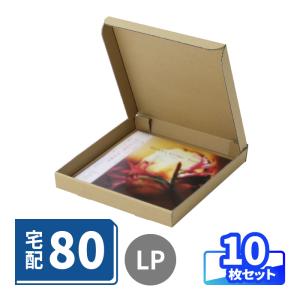 アースダンボール LPレコード ダンボール 80サイズ A4 薄型 宅配 発送