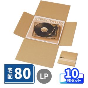 アースダンボール LPレコード ダンボール 80サイズ 20枚 A4 薄型 宅配