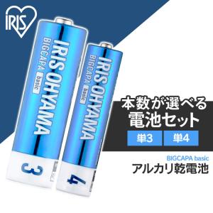 乾電池 単3 単4 送料無料 BIGCAPA basic 単3×40本or単4×40本or単3×20本＋単4×20本 5年保存 アルカリ 乾電池【代金引換不可・日時指定不可】 【メール便】