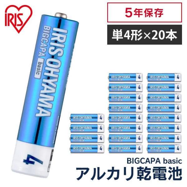 乾電池 電池 単4 単4形 40本 アルカリ乾電池 20本×2パック BIGCAPA basic p...