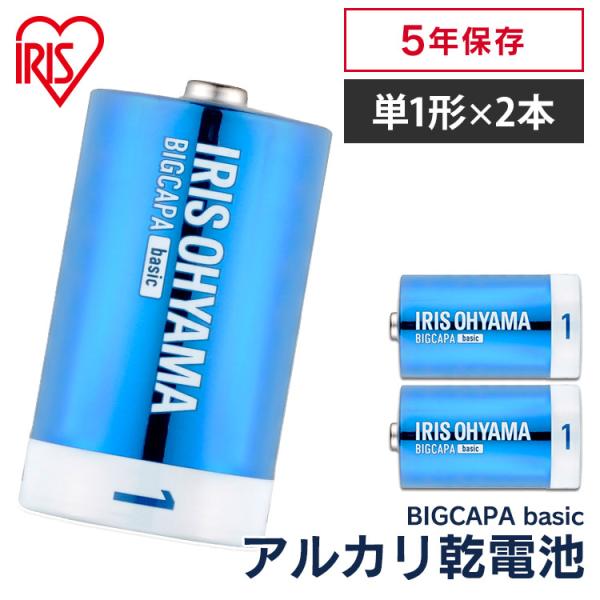 乾電池 電池 単1 単1形 2本パック BIGCAPA basic LR20Bb 2P アイリスオー...