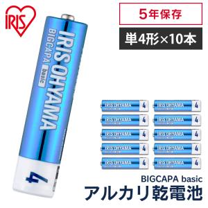 乾電池 電池 単4 単4形 10本パック BIGCAPA basic アイリスオーヤマ｜bestexcel