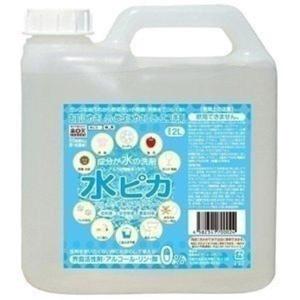 洗剤 アルカリ電解水 水ピカ 2L クリーナー 高濃度（pH13.1） お掃除 洗剤 掃除用 クリーナー 電解水 まとめ買い 送料無料 大容量 キッチン 除菌 脱臭 エコ洗剤｜bestexcel