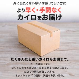 カイロ 貼らない 貼らないカイロ レギュラー ...の詳細画像2