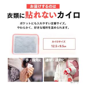 カイロ 貼らない 貼らないカイロ レギュラー ...の詳細画像4