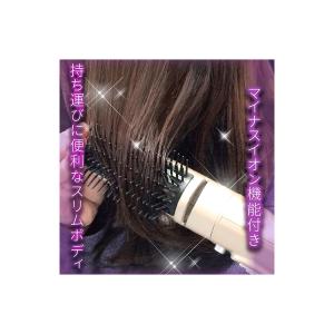 ドライヤー カールドライヤー 冷温風 海外対応...の詳細画像3