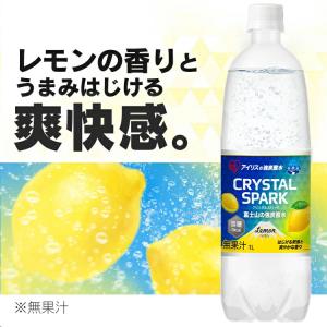 炭酸水 1l 15本 強炭酸水 炭酸 プレーン...の詳細画像4