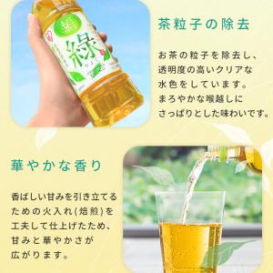 お茶 500ml 24本セット アイリスオーヤ...の詳細画像3
