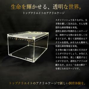 アクリルケージ S クリア TOP-AC-S2...の詳細画像2