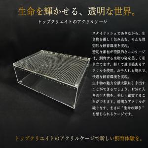 アクリルケージ M ワイド TOP-AC-M2...の詳細画像2