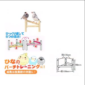 小鳥のポップ・ステップ・パーチ B71 SAN...の詳細画像1