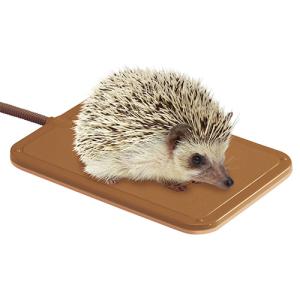 【お取り寄せ商品】ハリネズミのリバーシブルヒー...の詳細画像2