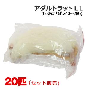 冷凍 アダルトラット LLサイズ 20匹の商品画像