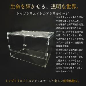 アクリルケージ TOP-AC-4530II T...の詳細画像4