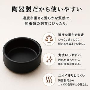 C-9 round blackブラックディッシ...の詳細画像2