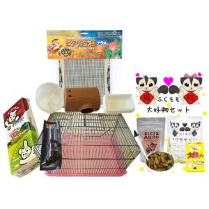 フクロモモンガの飼育初心者セット01 基本の飼育用品セット 専門店が