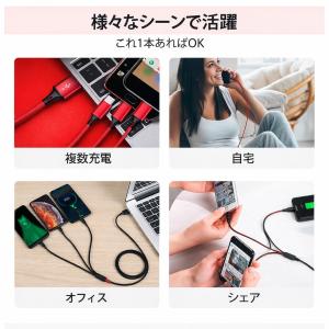 3in1 充電ケーブル iPhone Type...の詳細画像2