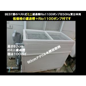 錦鯉　送料3000円　濾過槽　愛のベスト式ミニ濾過装置Ｒｉｏ1100ポンプ付５０Ｈｚ東日本用
