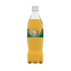 コカ・コーラ社製品 カナダドライ ジンジャーエール PET 700ml 2ケース 40本｜bestone1