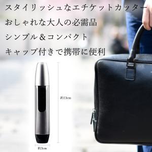 ◆3ヶ月保証付◆ 鼻毛カッター エチケットカッ...の詳細画像1