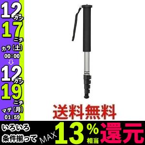 TRAIL 一脚 DVC-0101M 5段 シルバー 651110