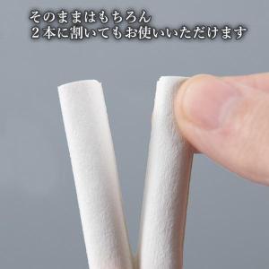 隙間テープ ドア 窓 トイレ 玄関 防虫 防音...の詳細画像5